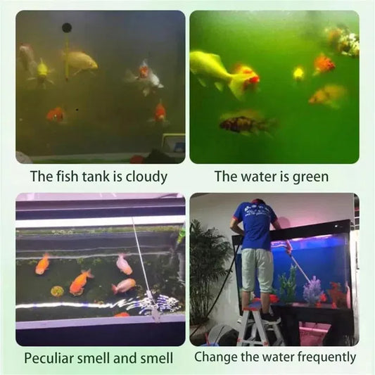 Water Purification Tablets For Fish Tank (Pack of 1)