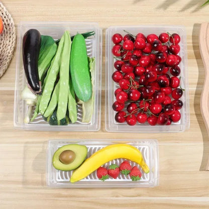 Fridge Storage Containers Box (Pack of 2)